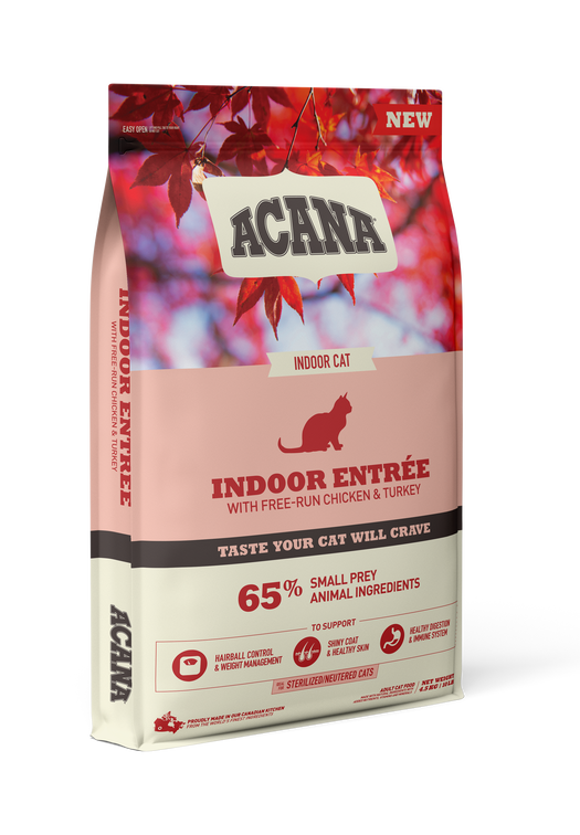 Indoor Entr&eacute;e
